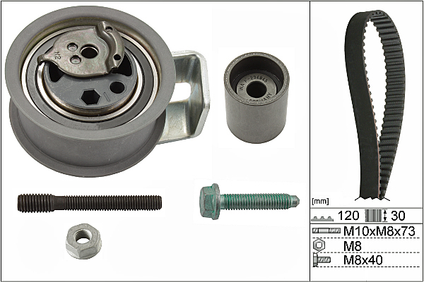 SCHAEFFLER INA Tandremssæt 530009110 for FORD VW