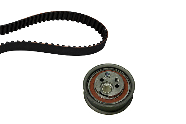 SCHAEFFLER INA Tandremssæt 530039210 for SEAT