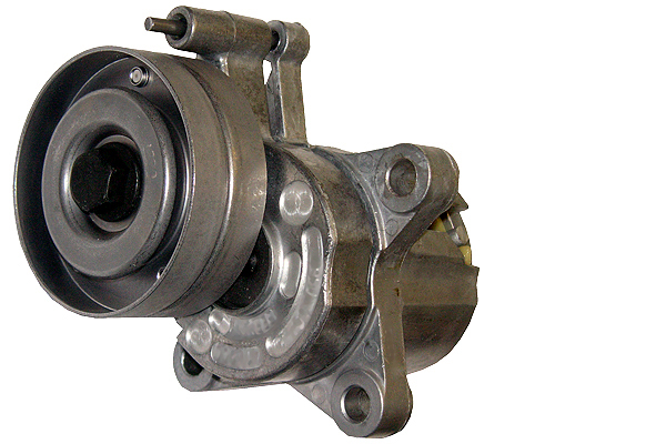 SCHAEFFLER INA Remstrammer, kilerem 534013630 for VW