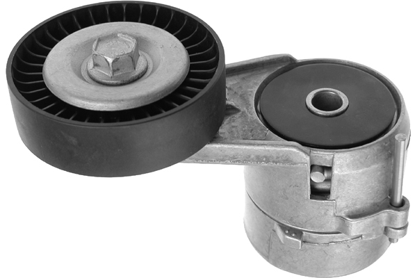 SCHAEFFLER INA Remstrammer, kilerem 534011520 for GENERAL MOTORS
