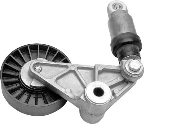 SCHAEFFLER INA Remstrammer, kilerem 534003310 for VAUXHALL SAAB GENERAL MOTORS