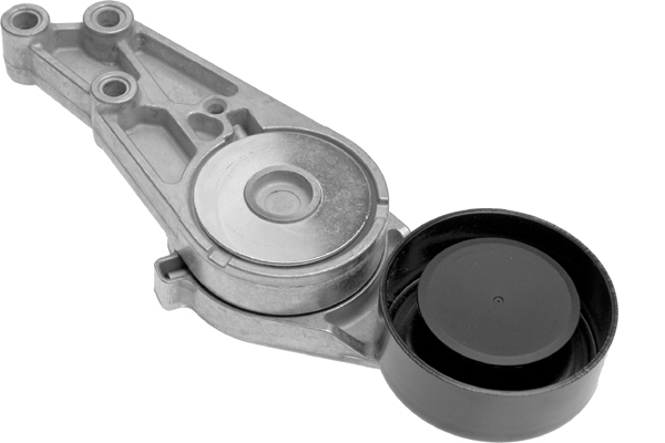 SCHAEFFLER INA Remstrammer, kilerem 534012730 for VW AUDI (FAW)