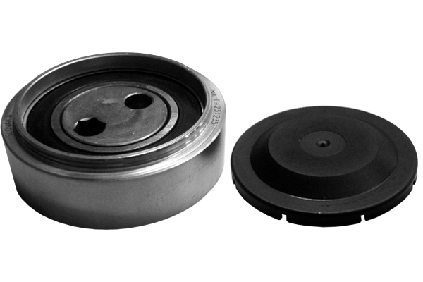 SCHAEFFLER INA Strammehjul, kilerem 531030710 for VW