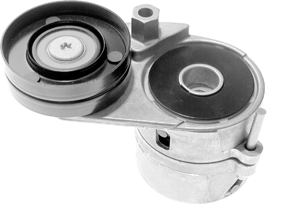 SCHAEFFLER INA Remstrammer, kilerem 534011620 for VW