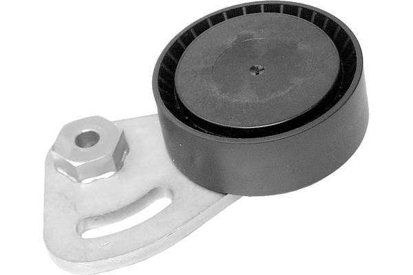 SCHAEFFLER INA Strammehjul, kilerem 531032210 for MINI MG LAND ROVER