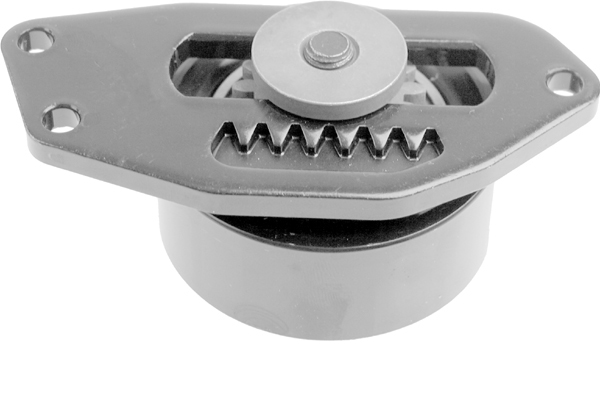 SCHAEFFLER INA Strammehjul, kilerem 531055310 for PEUGEOT