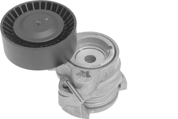SCHAEFFLER INA Remstrammer, kilerem 534012210 for MINI BMW (BRILLIANCE)