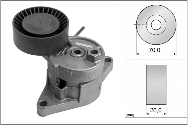 SCHAEFFLER INA Remstrammer, kilerem 534010410 for MINI