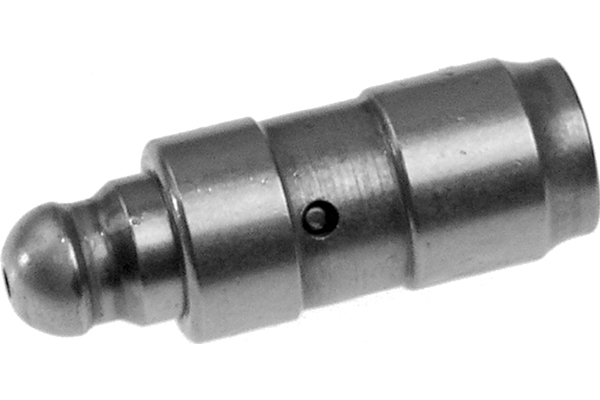 SCHAEFFLER INA Ventilløfter 420008210 for VW
