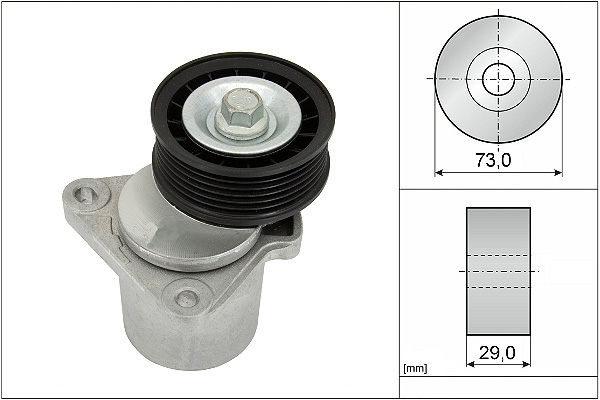 SCHAEFFLER INA Remstrammer, kilerem 534012820 for FORD VOLVO FORD (CHANGAN)