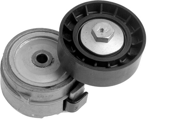 SCHAEFFLER INA Strammehjul, kilerem 531048010 for IVECO RENAULT