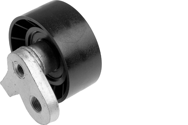 SCHAEFFLER INA Strammehjul, kilerem 531049510 for FIAT