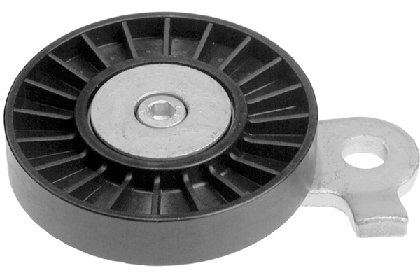 SCHAEFFLER INA Strammehjul, kilerem 531049610 for FIAT