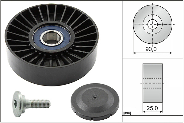 SCHAEFFLER INA Medløberhjul, multi-V-rem 532013810 for PEUGEOT LANCIA