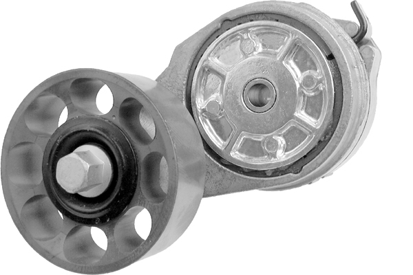 SCHAEFFLER INA Remstrammer, kilerem 534011720 for LAND ROVER