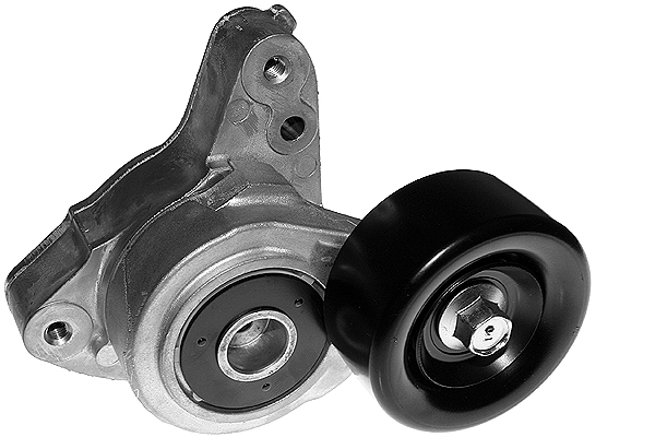 SCHAEFFLER INA Remstrammer, kilerem 534028310 for ACURA