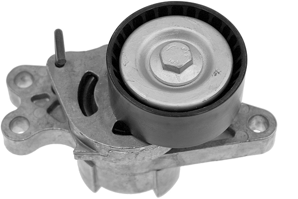 SCHAEFFLER INA Remstrammer, kilerem 534017910 for CITROËN FIAT PEUGEOT (DF-PSA)