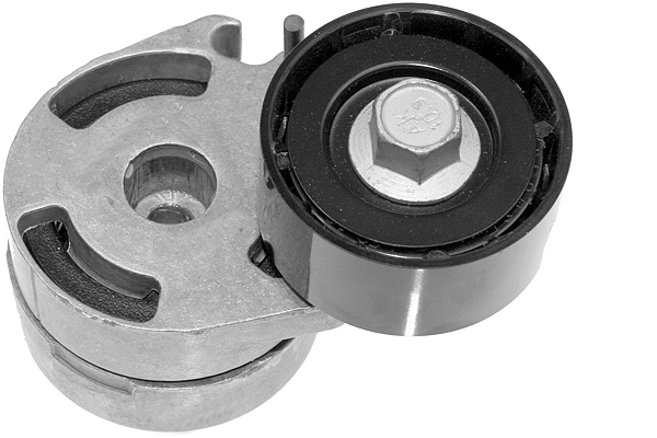 SCHAEFFLER INA Remstrammer, kilerem 534018010 for PEUGEOT FORD MAZDA SUZUKI