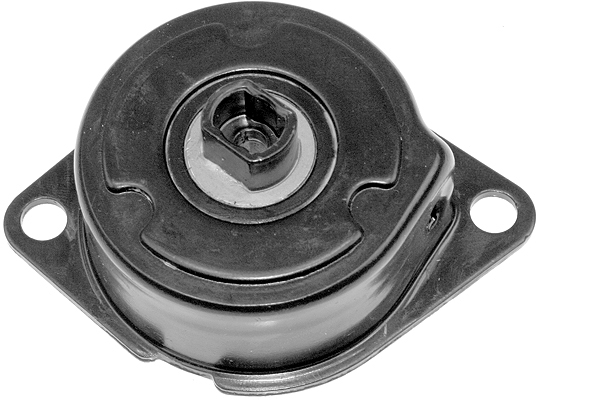 SCHAEFFLER INA Remstrammer, kilerem 534018810 for VW