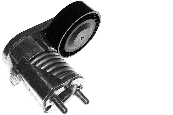 SCHAEFFLER INA Remstrammer, kilerem 534027310 for FORD VOLVO