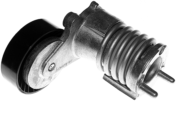 SCHAEFFLER INA Remstrammer, kilerem 534027410 for FORD VOLVO