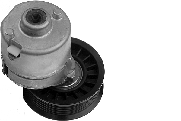 SCHAEFFLER INA Remstrammer, kilerem 534027910 for FORD