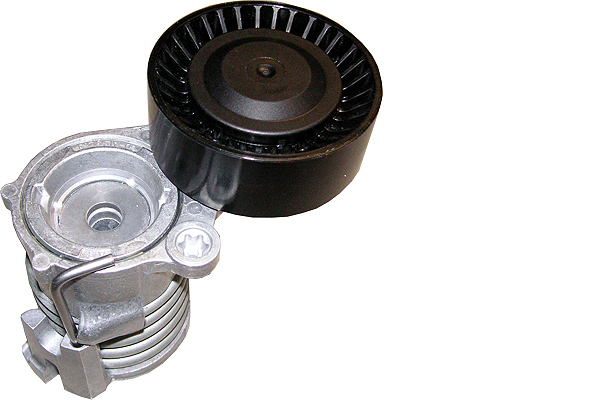 SCHAEFFLER INA Remstrammer, kilerem 534029610 for VW