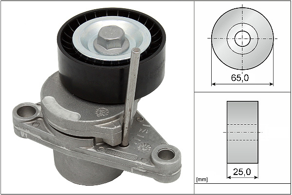 SCHAEFFLER INA Remstrammer, kilerem 534025010 for PEUGEOT (DF-PSA) PEUGEOT