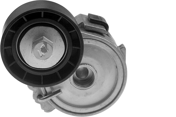 SCHAEFFLER INA Remstrammer, kilerem 534025510 for PEUGEOT FIAT