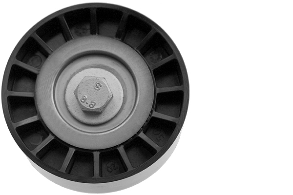 SCHAEFFLER INA Strammehjul, kilerem 531081210 for IVECO PEUGEOT