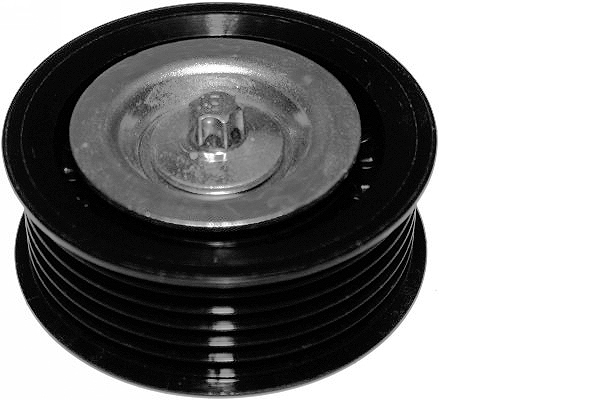 SCHAEFFLER INA Medløberhjul, multi-V-rem 532056210 for FIAT ALFA ROMEO