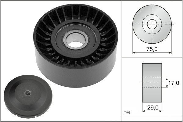 SCHAEFFLER INA Medløberhjul, multi-V-rem 532053610 for VW