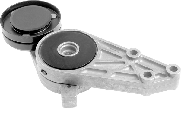 SCHAEFFLER INA Remstrammer, kilerem 533007730 for VW