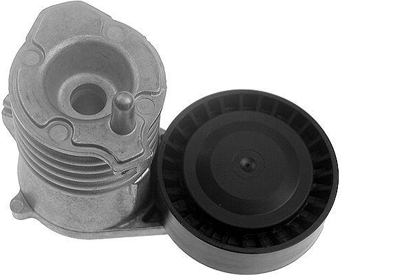SCHAEFFLER INA Remstrammer, kilerem 534002910 for FORD VOLVO
