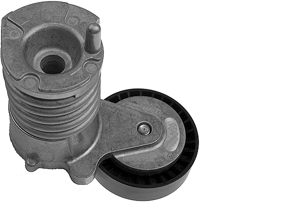 SCHAEFFLER INA Remstrammer, kilerem 534003010 for FORD VOLVO VOLVO (CHANGAN)