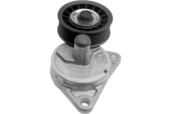 SCHAEFFLER INA Remstrammer, kilerem 534013020 for FORD MAZDA