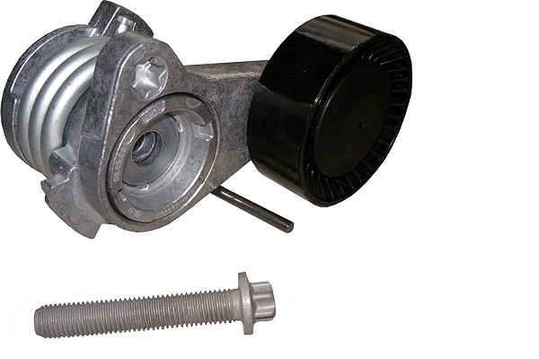 SCHAEFFLER INA Remstrammer, kilerem 534025210 for MINI BMW (BRILLIANCE)