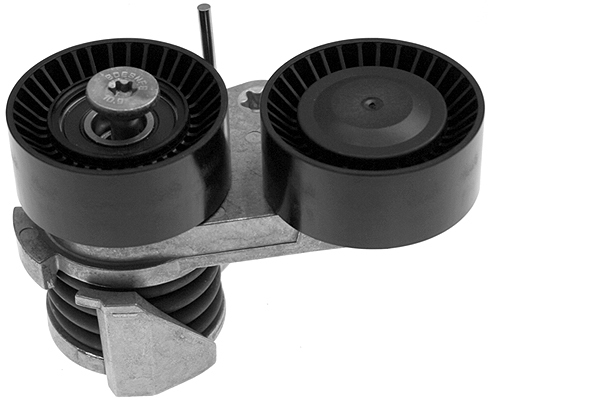 SCHAEFFLER INA Remstrammer, kilerem 534025310 for MINI