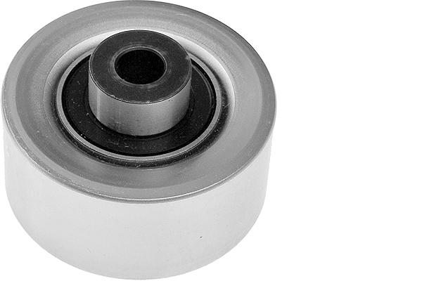 SCHAEFFLER INA Medløberhjul, multi-V-rem 532031110 for FORD