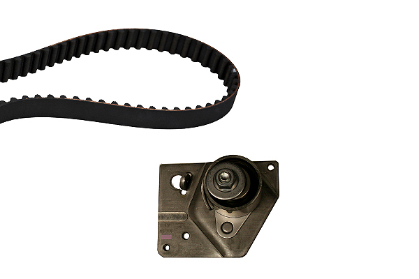 SCHAEFFLER INA Tandremssæt 530044210 for NISSAN DACIA SUZUKI