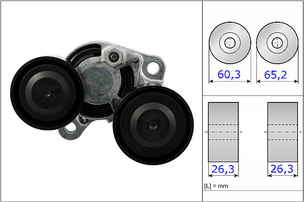 SCHAEFFLER INA Remstrammer, kilerem 534048210 for BMW