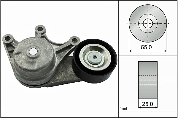 SCHAEFFLER INA Remstrammer, kilerem 534053510 for BMW BMW (BRILLIANCE)