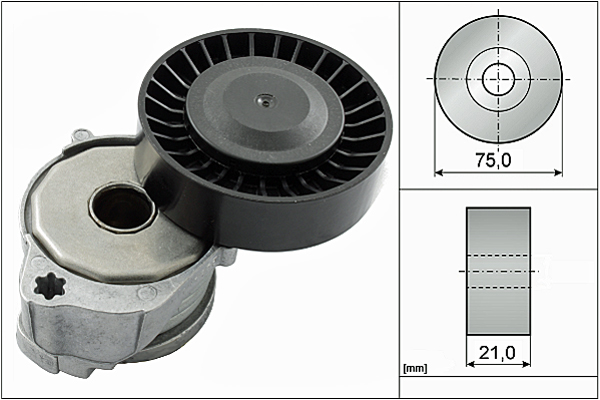 SCHAEFFLER INA Remstrammer, kilerem 534060410 for FORD VOLVO VOLVO ASIA