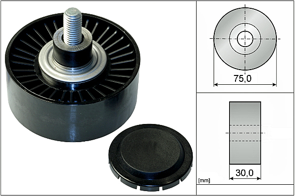 SCHAEFFLER INA Medløberhjul, multi-V-rem 532075110 for BMW