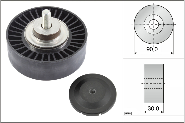 SCHAEFFLER INA Medløberhjul, multi-V-rem 532075210 for BMW