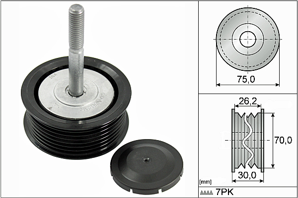SCHAEFFLER INA Medløberhjul, multi-V-rem 532079210 for PORSCHE