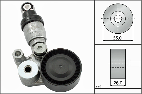 SCHAEFFLER INA Remstrammer, kilerem 533012910 for MAZDA