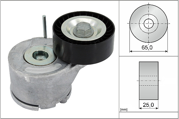 SCHAEFFLER INA Remstrammer, kilerem 534045510 for VAUXHALL FIAT GENERAL MOTORS PEUGEOT