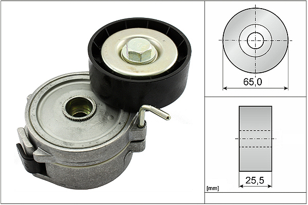 SCHAEFFLER INA Remstrammer, kilerem 534006810 for FORD VOLVO PEUGEOT FIAT JAGUAR MITSUBISHI ROVER