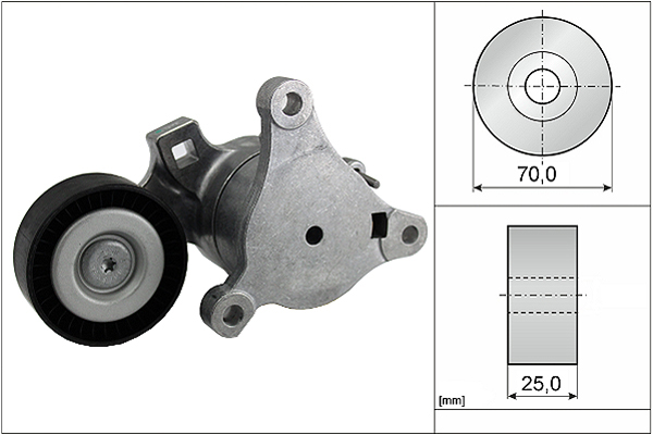 SCHAEFFLER INA Remstrammer, kilerem 534036210 for PEUGEOT PEUGEOT (DF-PSA)